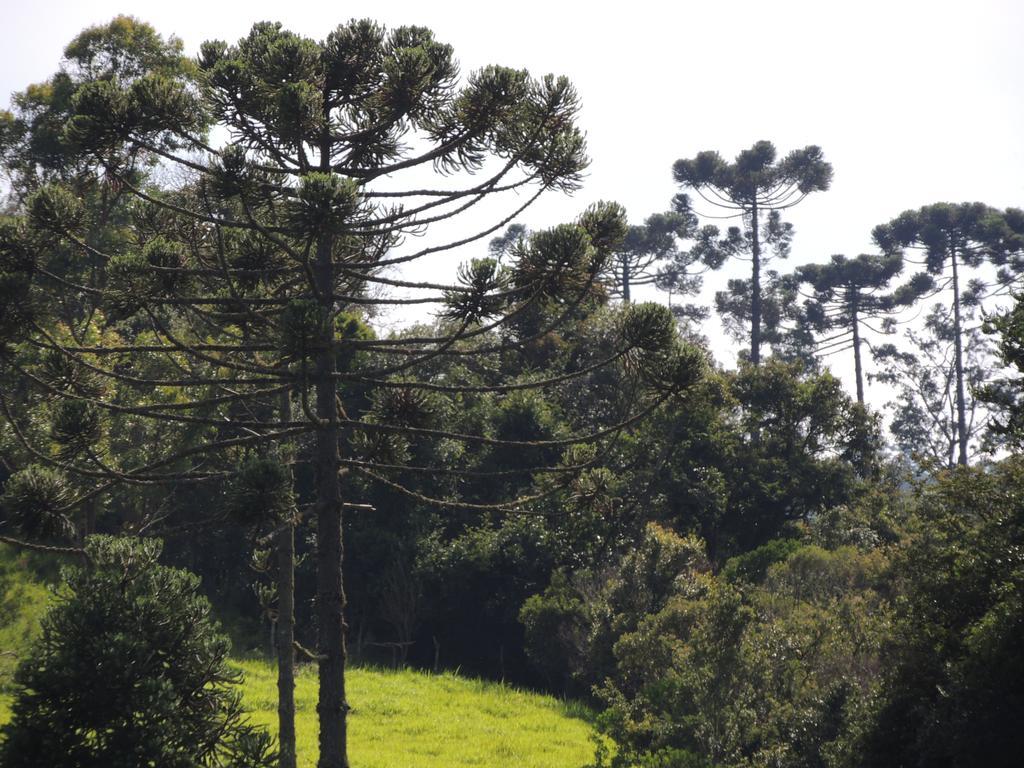 Tô na Roça Villa Cunha Ngoại thất bức ảnh