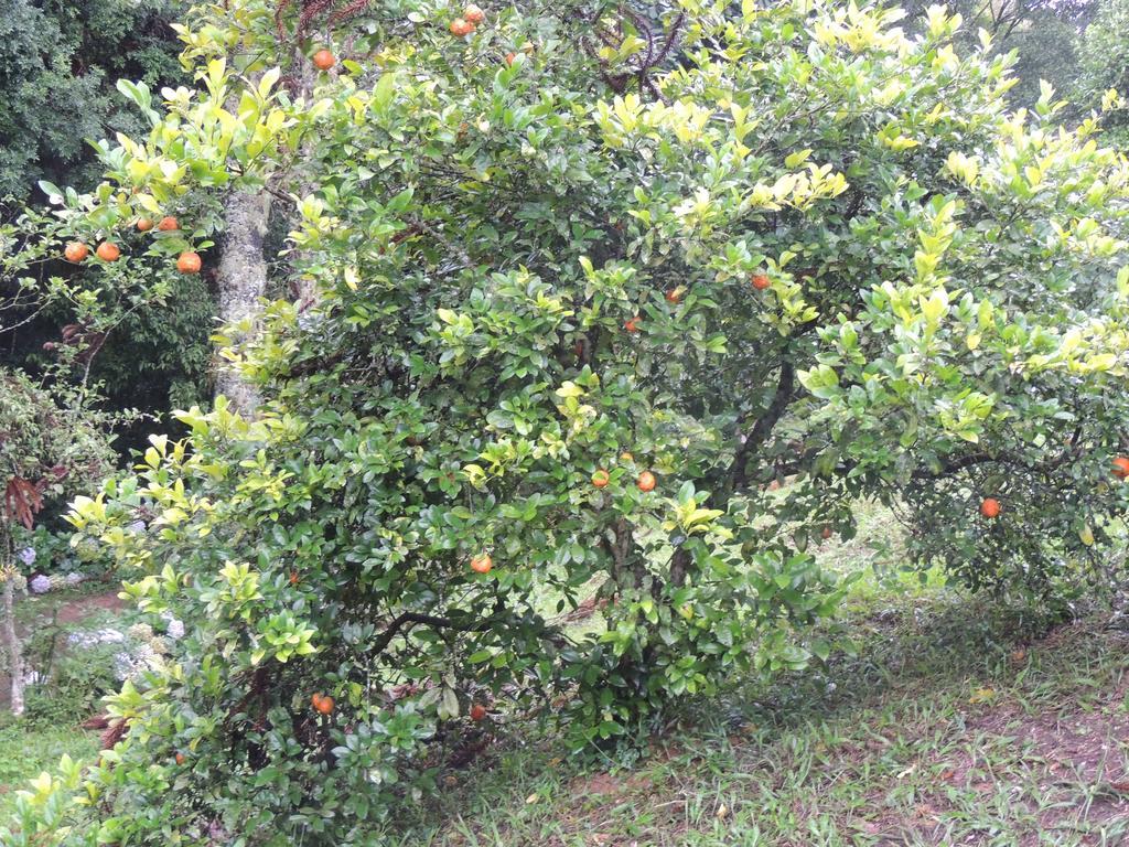 Tô na Roça Villa Cunha Ngoại thất bức ảnh